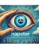 Napster Premium Аккаунт1 месяцготовый