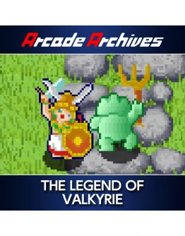 Arcade Archives THE LEGEND OF VALKYRIE PS4 & PS5 Arcade Archives THE LEGEND OF VALKYRIE PS4 & PS5