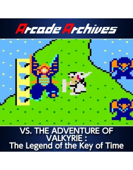 Arcade Archives VS. THE ADVENTURE OF VALKYRIE : The Leg Arcade Archives VS. THE ADVENTURE OF VALKYRIE : The Leg
