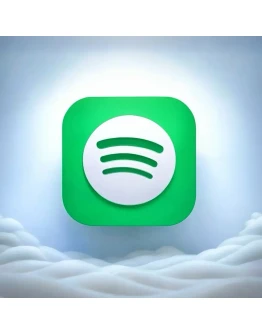 SPOTIFY PREMIUM ИНДИВИДУАЛЬНЫЙ 1/3/6/12 МЕСЯЦ