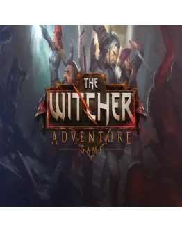 The Witcher Adventure Game GOG (PC)