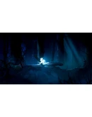 Ori and the Blind Forest Definitive Edition Steam Ключ