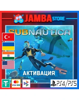 Subnautica PS4/PS5 Выбор региона