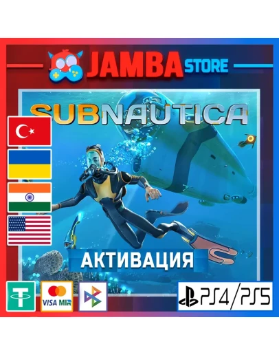 Subnautica PS4/PS5 Выбор региона