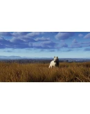 Way of the Hunter - Lintukoto Reserve DLC RU*KZ*UA*CIS