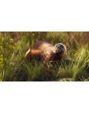 Way of the Hunter - Lintukoto Reserve DLC RU*KZ*UA*CIS