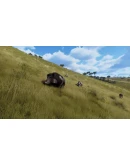 Way of the Hunter - Matariki Park DLC RU*KZ*UA*CIS Way of the Hunter - Matariki Park DLC RU*KZ*UA*CIS