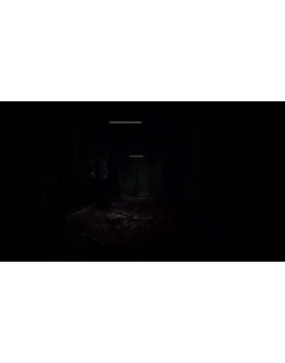 Caretaker PS4 &amp PS5