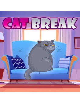 Cat Break PS5