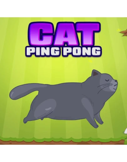 Cat Ping Pong PS5