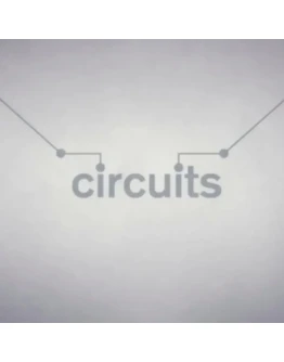 Circuits PS4 & PS5 Circuits PS4 & PS5