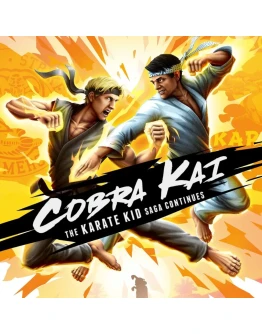 Cobra Kai: The Karate Kid Saga Continues PS4 &amp PS5