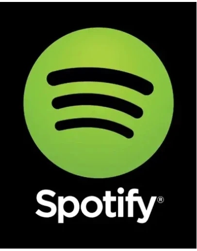 Spotify PREMIUM (НА ВАШ АККАУНТ)12 МЕСЯЦЕВ