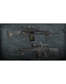 Squad Weapon Skins - Precision Strike Pack DLC Squad Weapon Skins - Precision Strike Pack DLC
