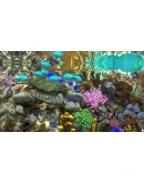 Behind Glass: Aquarium Simulator * STEAM RU