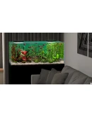 Behind Glass: Aquarium Simulator * STEAM RU