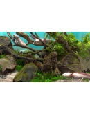 Behind Glass: Aquarium Simulator * STEAM RU