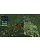Ultimate Fishing Simulator - Aquarium DLC RU*KZ*UA*CIS