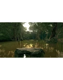 Ultimate Fishing Simulator - Amazon River DLC