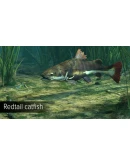 Ultimate Fishing Simulator - Amazon River DLC