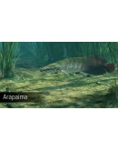 Ultimate Fishing Simulator - Amazon River DLC