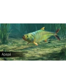 Ultimate Fishing Simulator - Amazon River DLC