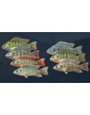 Ultimate Fishing Simulator - Kariba Dam DLC