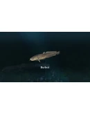 Ultimate Fishing Simulator - New Fish Species DLC