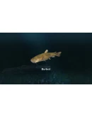 Ultimate Fishing Simulator - New Fish Species DLC