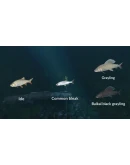 Ultimate Fishing Simulator - New Fish Species DLC