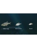 Ultimate Fishing Simulator - New Fish Species DLC