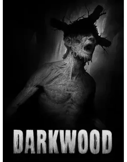 Общий аккаунт Darkwood