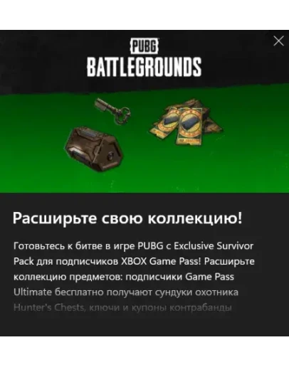 PUBG - 2024 Exclusive Survivor Pack #2 PUBG - 2024 Exclusive Survivor Pack #2