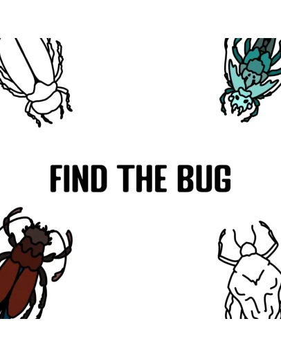 Find the Bug PS5