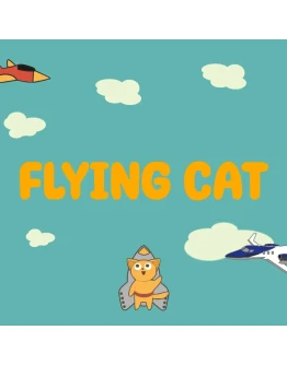 Flying cat PS5 Flying cat PS5