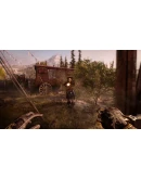 Hunt: Showdown 1896 * STEAM РОССИЯ