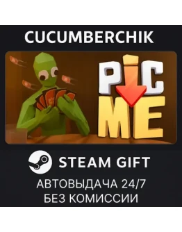 Pic-Me!STEAM GIFT AUTORU+МИР