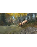 DayZ Cool Edition * STEAM РОССИЯ