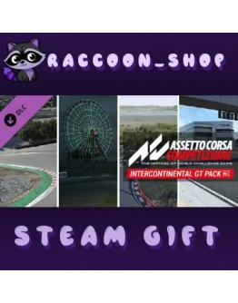 Assetto Corsa Competizione - Intercontinental GT Pack D