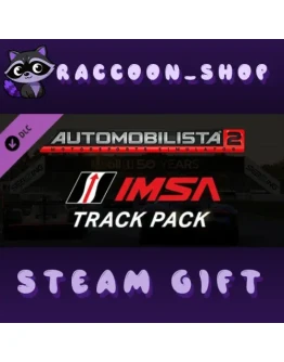 Automobilista 2 - IMSA Track Pack DLC RU*KZ*UA*CIS