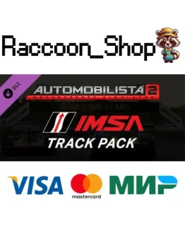 Automobilista 2 - IMSA Track Pack DLC * STEAM РОССИЯ