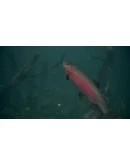 Ultimate Fishing Simulator 2STEAM GIFT AUTORU+МИР Ultimate Fishing Simulator 2STEAM GIFT AUTORU+МИР