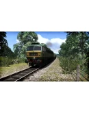 (DLC) Train Simulator: WSR Diesels Loco Add-On КЛЮЧ