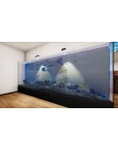 Aquatic Store Simulator КЛЮЧ STEAM ВСЕ СТРАНЫ
