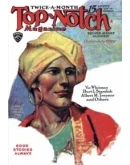 Радио-Полицейский рассказ Вика Уитмена