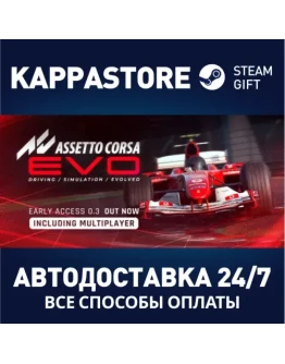 Assetto Corsa EVOАВТОДОСТАВКА Steam RU/BY/KZ/UA