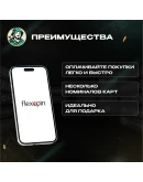 ВАУЧЕР FLEXEPIN10-100 EURЕВРОПААВТОВЫДАЧА