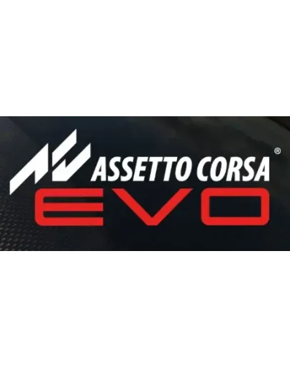 Assetto Corsa EVO АВТОДОСТАВКА Россия Steam Gift