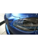 Assetto Corsa EVO АВТОДОСТАВКА Россия Steam Gift