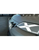 Assetto Corsa EVO АВТОДОСТАВКА Россия Steam Gift